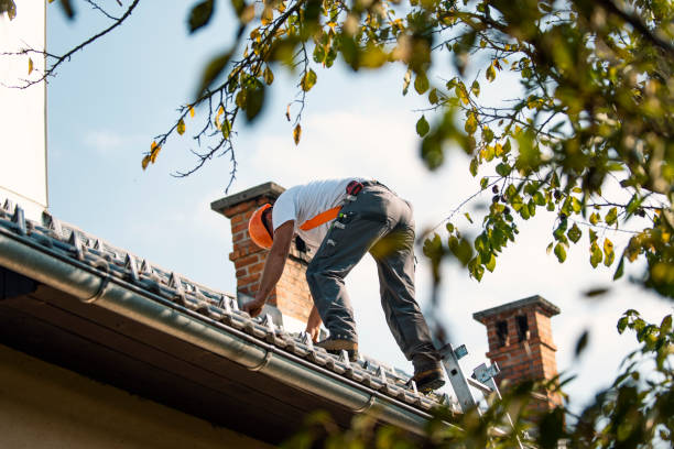 Best Roof Gutter Cleaning  in Dewitt, AR
