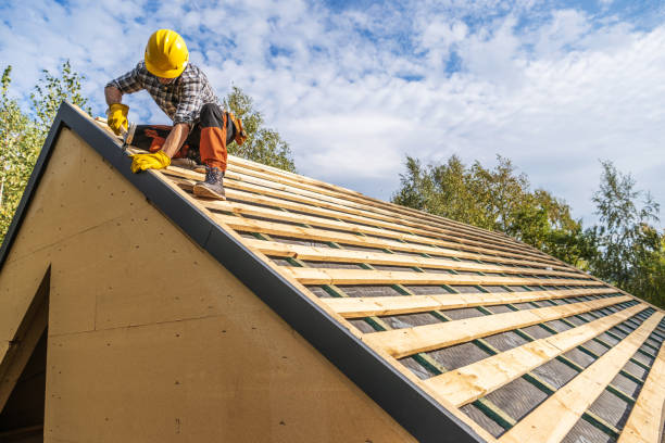 Best Gutter Installation and Roofing  in Dewitt, AR