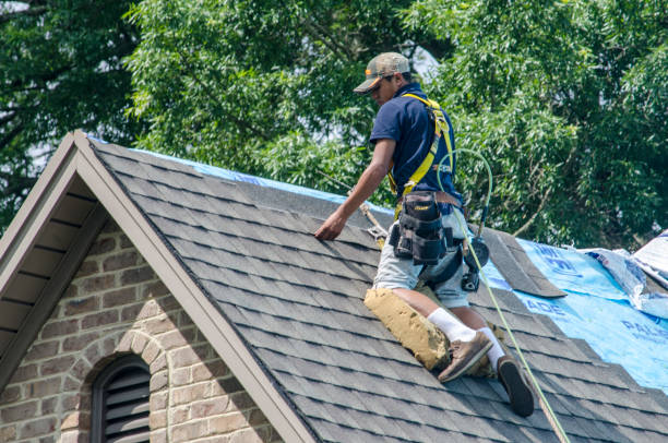 Residential Roof Replacement in Dewitt, AR